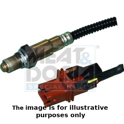 Oxygen Sensor